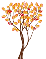 Tree, autumn