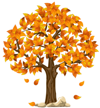 Maple tree autumn tree
