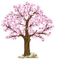 Sakura tree drawing