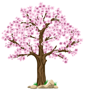 Sakura tree drawing