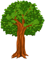 Tree illustration