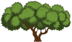 A tree on a transparent background