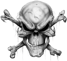 Skull sketch, tattoo, png