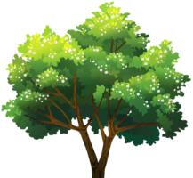 Big tree, png
