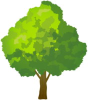 Tree futage