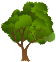 Trees forest vector