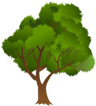 Trees forest vector
