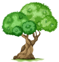 Tree, plant