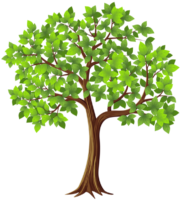 Illustration tree