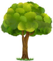 A tree on a transparent background