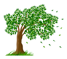 Green tree, PNG