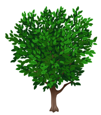 Green tree, png, clipart