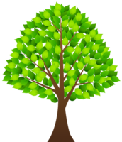 A tree on a transparent background