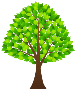 A tree on a transparent background