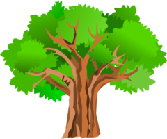 Tree crown