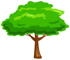 Plant, tree