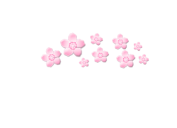 Sakura Flowers