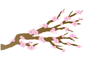 Sakura branch png