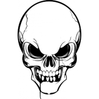 Skull Sticker