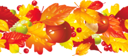 Autumn leaves