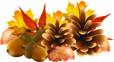 Autumn background, PNG