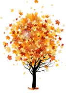 Autumn tree, png