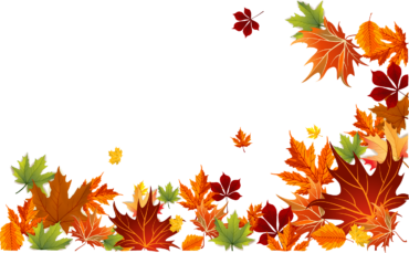 Maple leaves background, png
