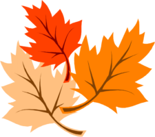 Maple leaves clipart