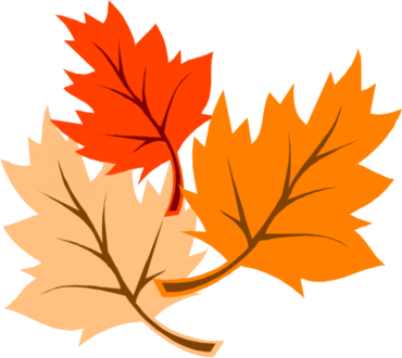 Maple leaves clipart