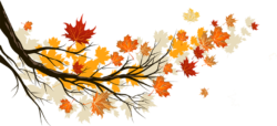 Autumn background, leaves