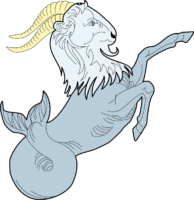 Zodiac sign Capricorn