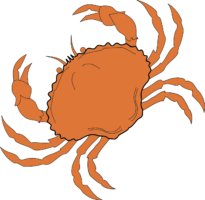 Zodiac sign cancer