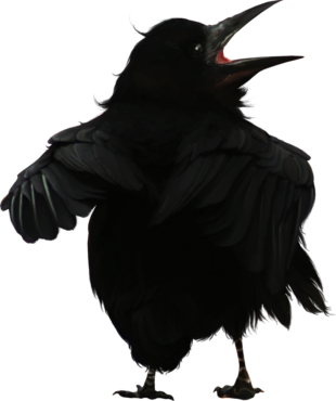 Raven bird, halloween, holiday
