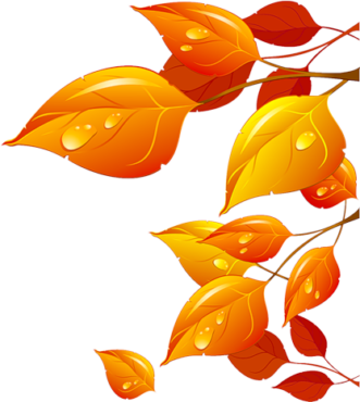 Autumn leaves, png