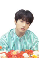 Jungkook, bts, taehyung