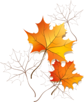 Autumn maple leaf, PNG