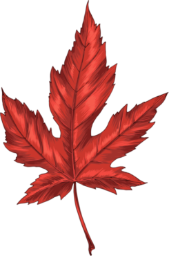 Red maple leaf, png