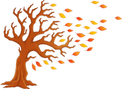 Autumn tree silhouette