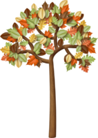 Tree, autumn, leaves