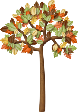 Tree, autumn, leaves