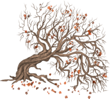 Tree illustration