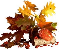 Autumn, leaves, bouquet