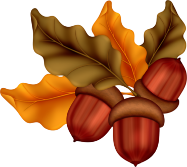 Autumn, oak, acorns