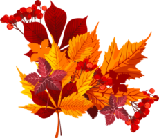 Bouquet of autumn leaves
