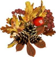 Autumn bouquet, PNG