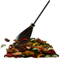 Broom, autumn, leaves