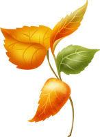 Leaf, autumn
