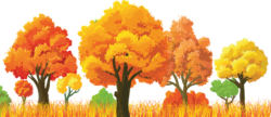 Autumn forest
