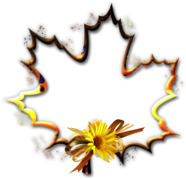 Photo frame maple leaf, PNG
