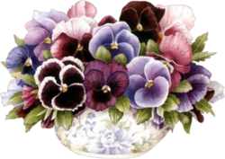 Pansies vintage